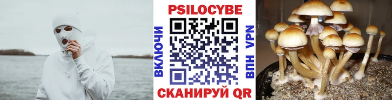 Галлюциногенные грибы Cubensis  Краснотурьинск 
